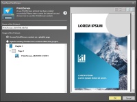 Print2Screen dialog